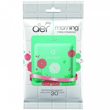GODREJ AER POCKET MORNING MISTY 10GM